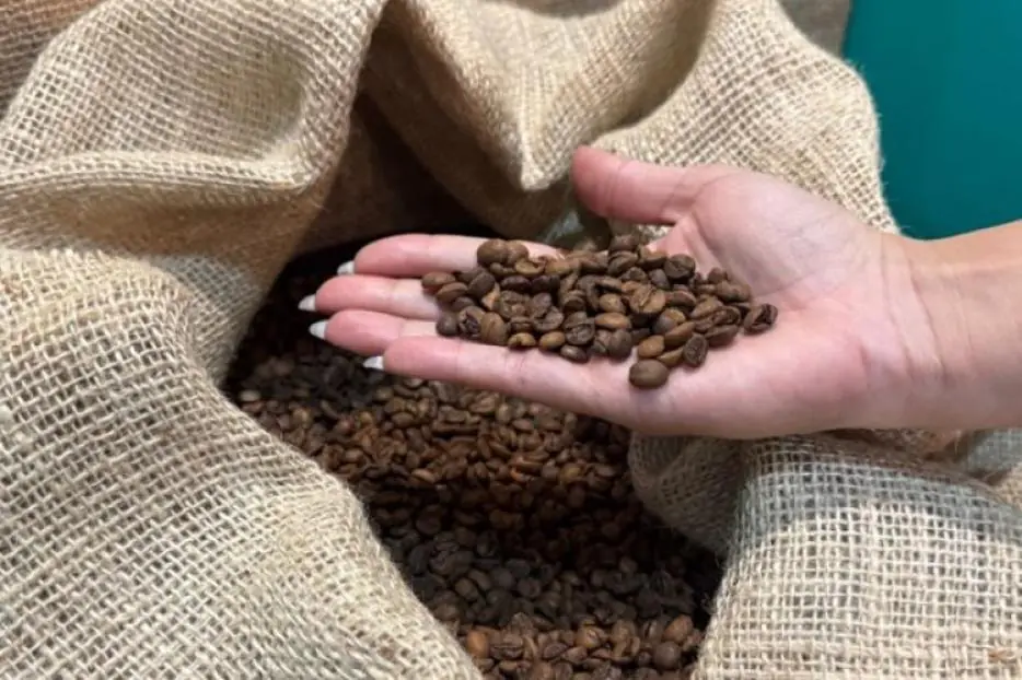 Agronegócio mineiro cresce