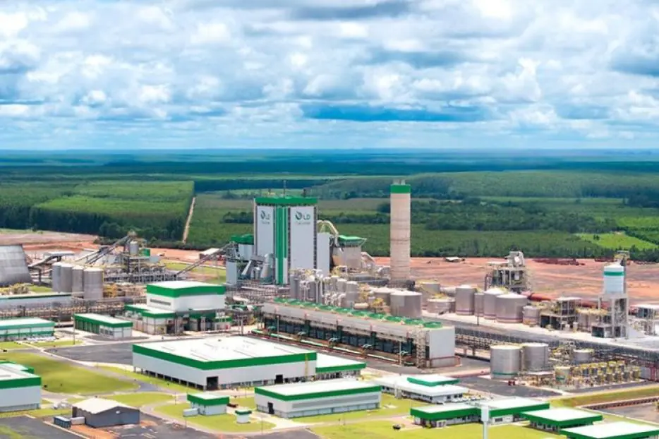 Fábrica impulsiona produção de celulose