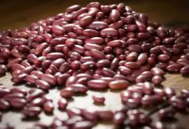 Produção de feijão cresce em Minas e sustenta liderança no Sudeste