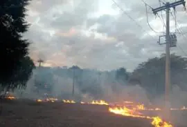 Queimadas deixam 11 mil sem energia