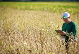 Residência agropecuária une teoria e prática